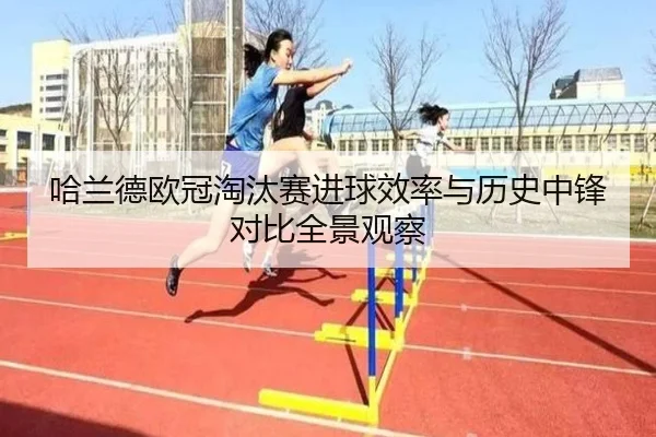 哈兰德欧冠淘汰赛进球效率与历史中锋对比全景观察