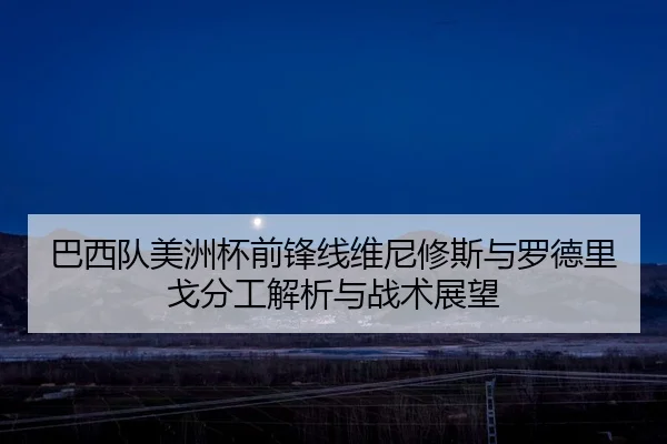 巴西队美洲杯前锋线维尼修斯与罗德里戈分工解析与战术展望